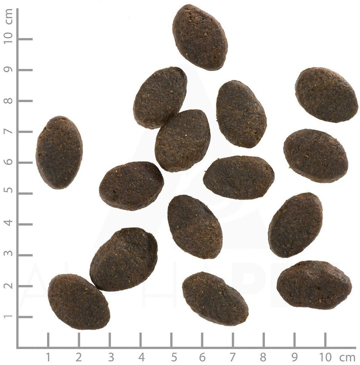 Wolfsblut Croquettes pour chien 2kg Wolfsblut Croquettes pour chien 2kg
