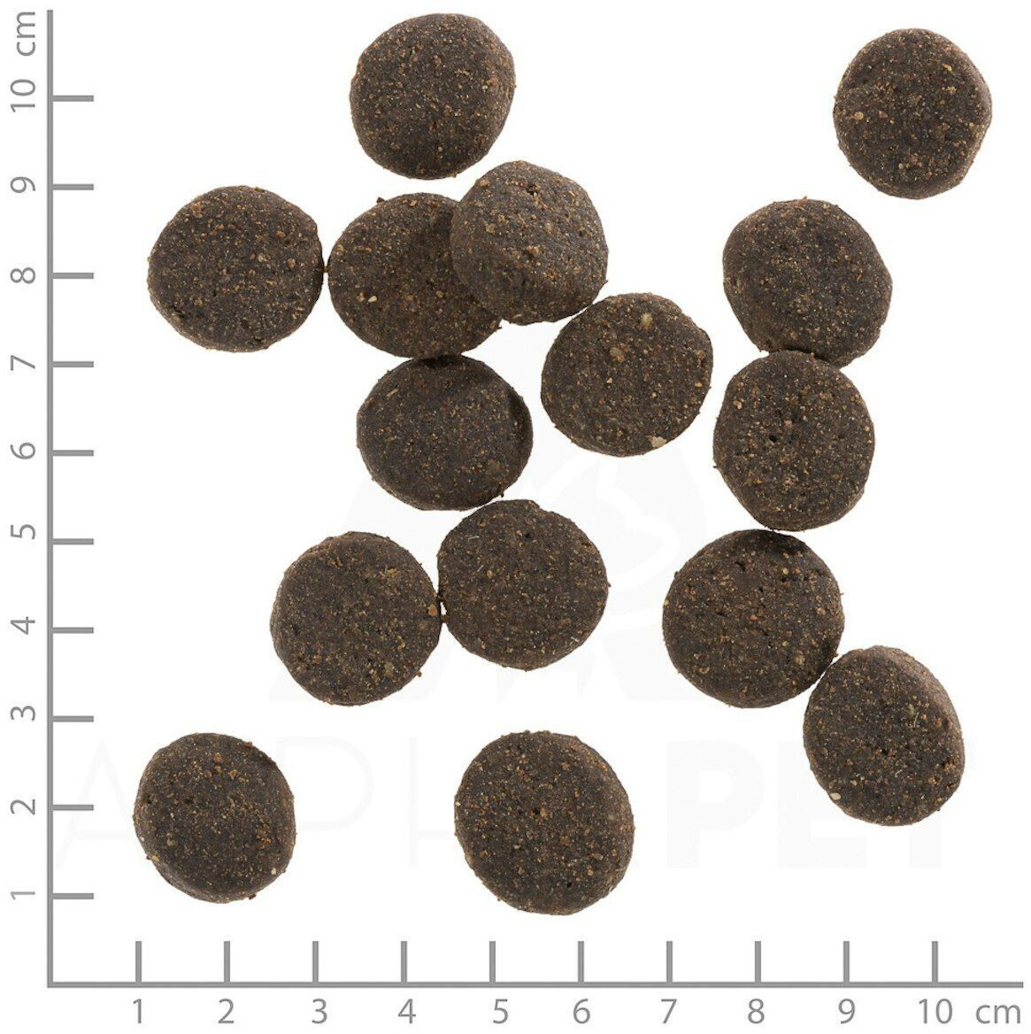 Wolfsblut Croquettes pour chien 2kg Wolfsblut Croquettes pour chien 2kg