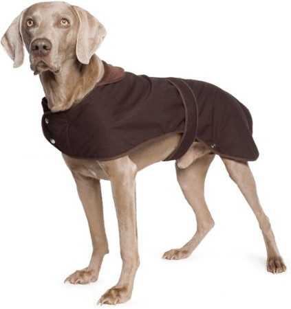 Ancol Manteau ciré Timberwolf Extreme XL (56 cm)