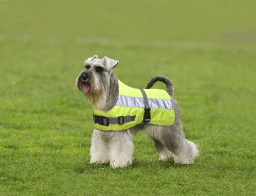 Petlife Gilet de sécurité pour chien Flectalon Petlife Gilet de sécurité pour chien Flectalon