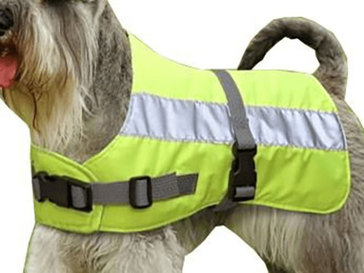 Petlife Flecta Hi-Vis Jacket (45 cm)