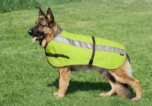 Petlife Flectalon Hi-Vis Jacket (61 cm)