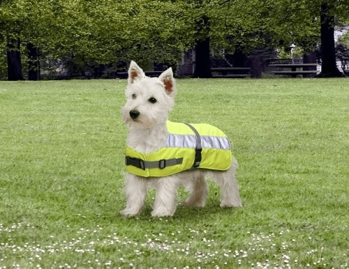 Petlife Flecta Hi-Vis Jacket