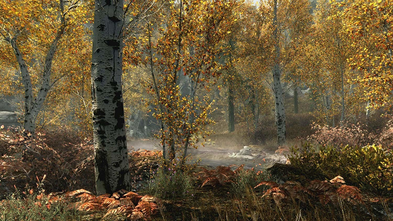The Elder Scrolls V : Skyrim - édition premium (PS3)