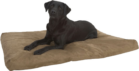 Kruuse Buster Memory Foam Dog Bed - Olive