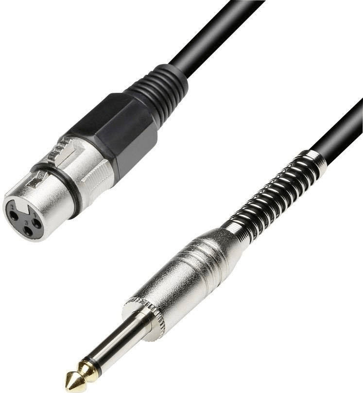Paccs Adaptateur XLR fmelle / Jack 6,3mm mâle (3m)