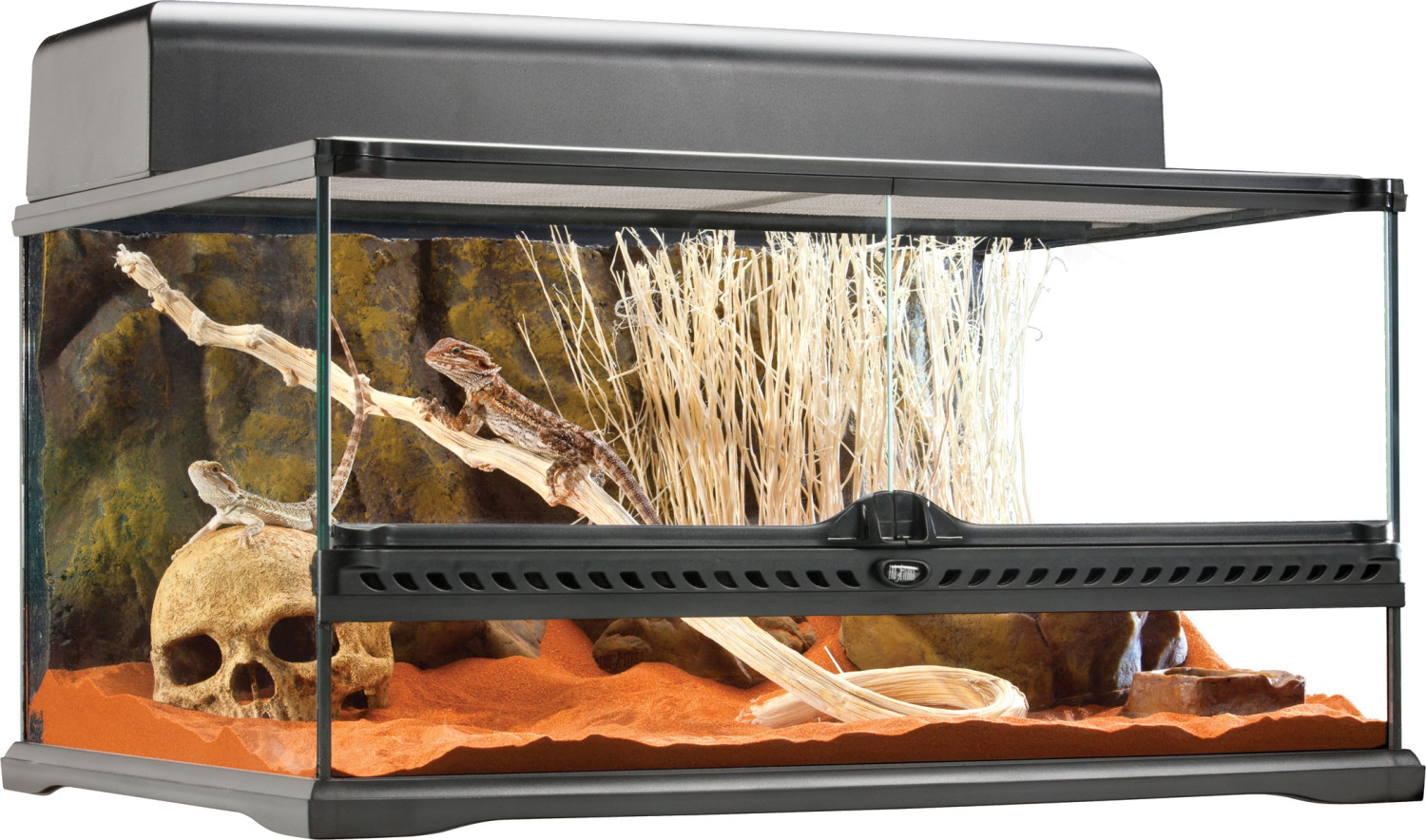 Exo Terra Terrarium naturel Medium/Low 60 x 45 x 30 cm (PT2604)