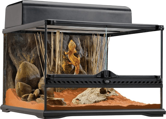 Exo Terra Terrarium naturel Small/Low 45 x 45 x 30 cm (PT2603)