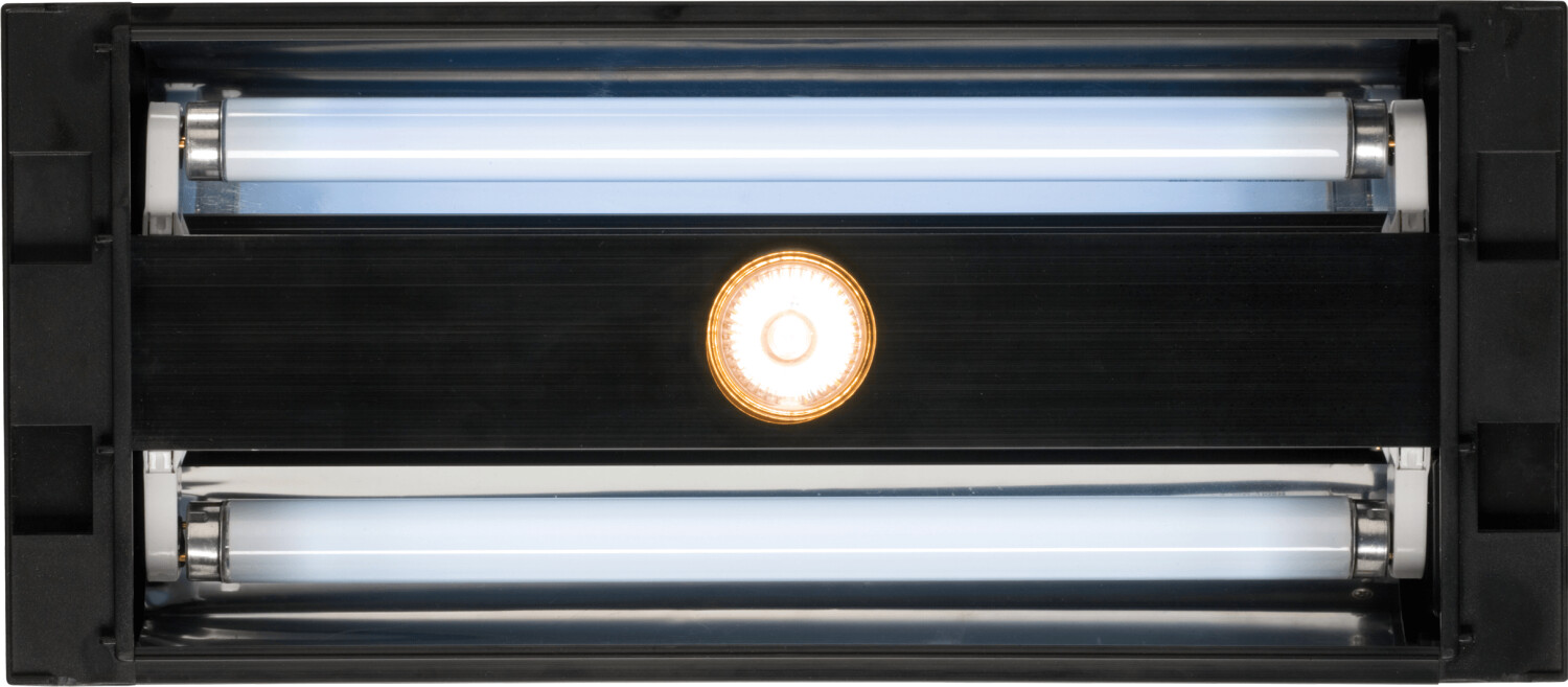 Exo Terra Dual Top Medium