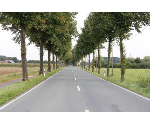 Kiepenkerl DSV 820 Straßenbegleitgrün 10 kg