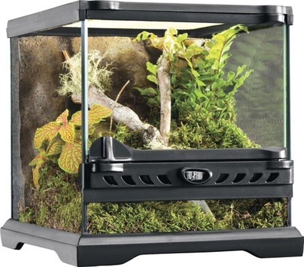 Exo Terra Terrarium naturel Nano/Wide 20 x 20 x 20 cm (PT2599)