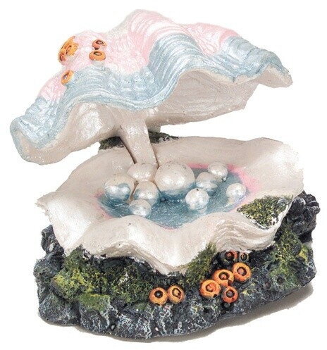 EBI Muschel mit Ausströmer (12.5 x 11.5 x 8 cm)