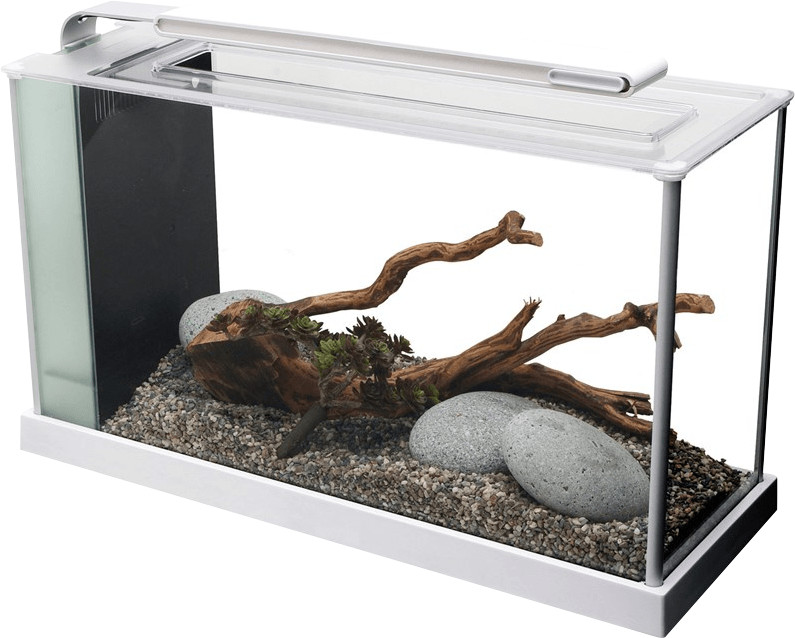 Fluval Spec 5