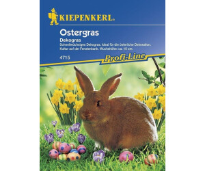 Kiepenkerl Profi-Line Ostergras