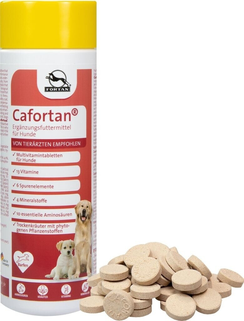 Fortan Cafortan 300 g 600 comprimés