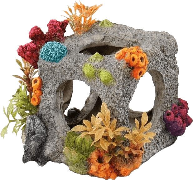 EBI Cube Habitat (12 x 11,5 x 11 cm)