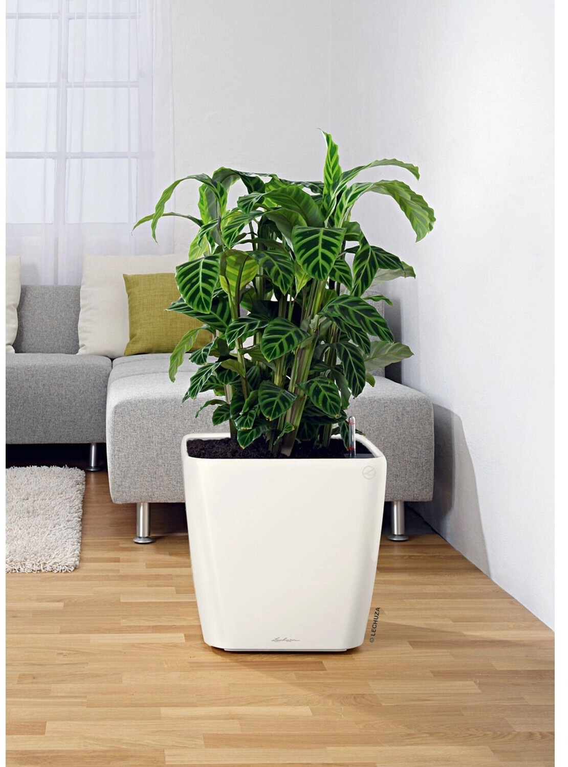 Lechuza Quadro Premium LS kaspó 50 cm x 50 cm x 47 cm fehér magasfényű