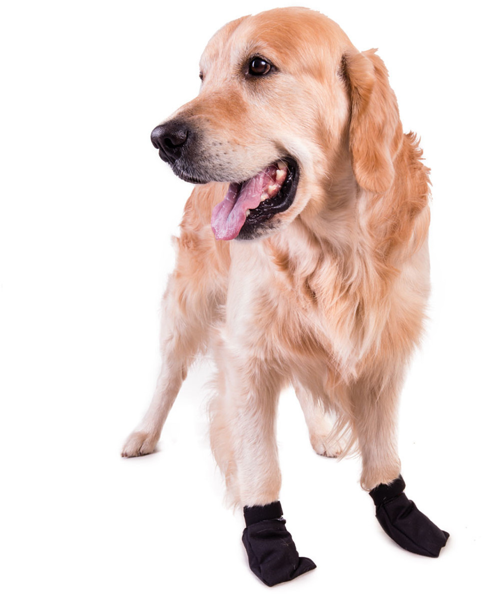Non-stop dogwear Chaussures pour chien S