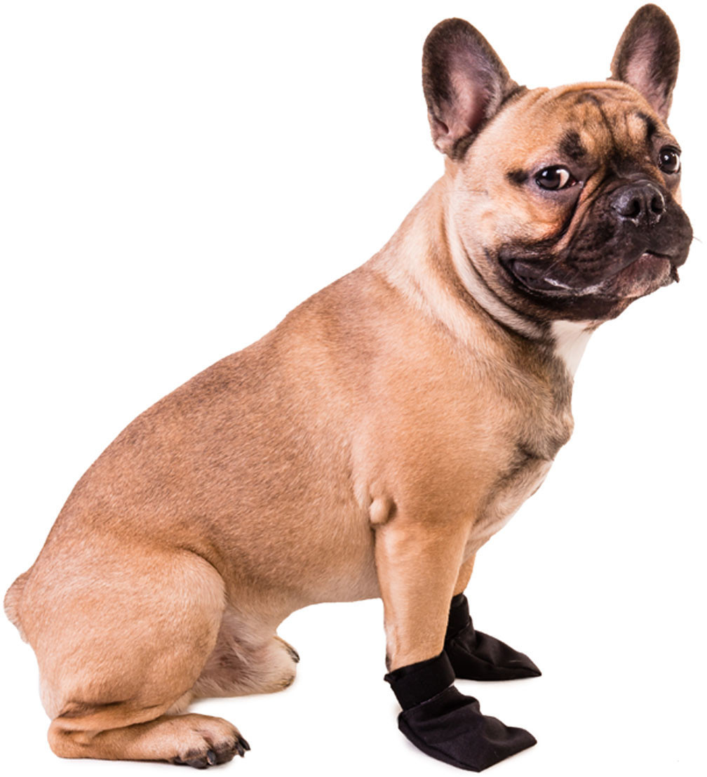 Non-stop dogwear Chaussures pour chien S