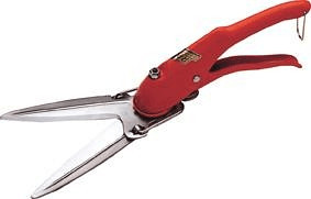Berger 2100