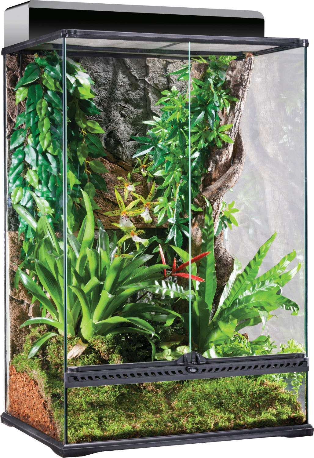 Exo Terra Terrarium naturel Medium/X-Tall 60 x 45 x 90 cm (PT2608)