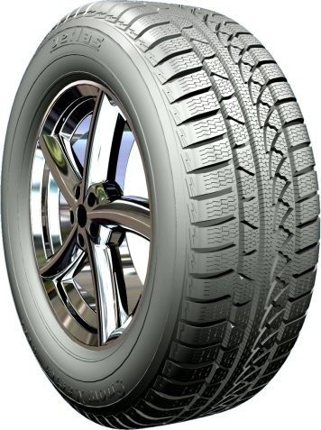 Petlas Snow Master W651 195/65 R15 95H