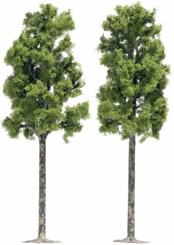 Busch Model 2 Platanes (6791)