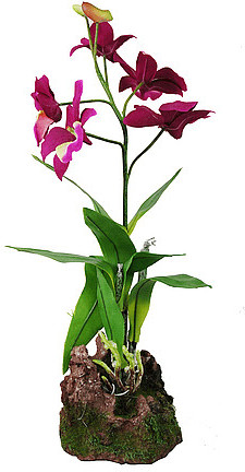 Lucky Reptile Orchidée violet