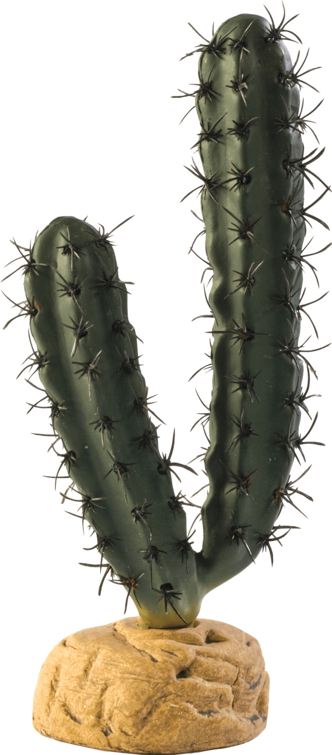 Exo Terra Cactus en doigts (PT2983)