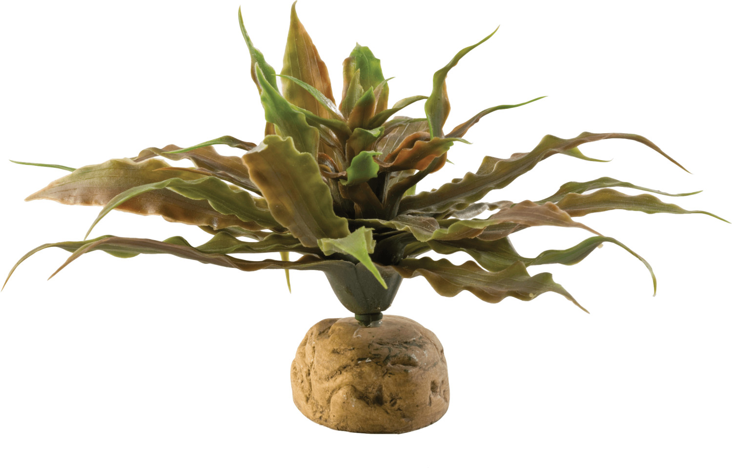 Exo Terra Cactus étoilé (PT2982)