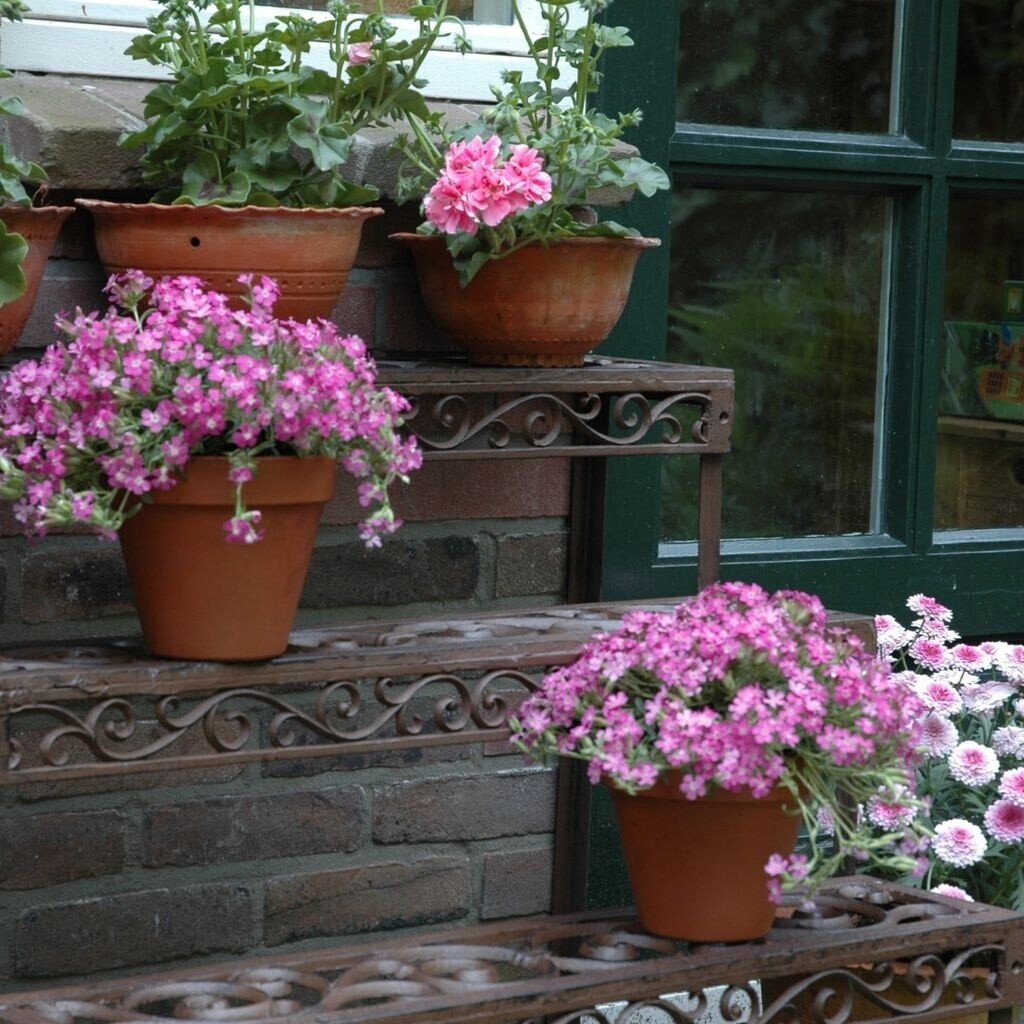 Esschert Étagère à plantes arabesque