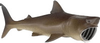 Safari Requin pélerin (223429)