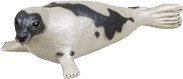 Safari Phoque (248829)