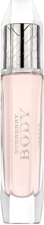 Burberry body hotsell tender price
