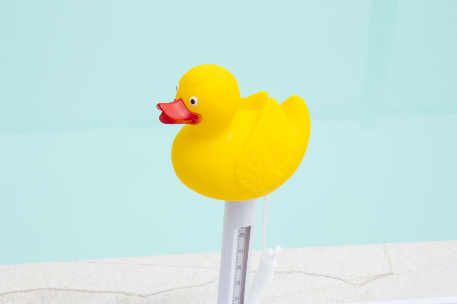 Steinbach Thermomètre de piscine