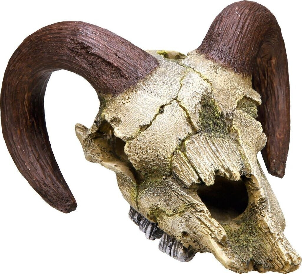 Nobby Aqua Ornaments "Widderschädel" (17,5 x 16 x 9,5 cm)