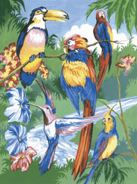 Royal & Langnickel Peinture d'après les chiffres - Oiseaux tropicaux