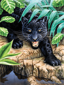 Royal & Langnickel Peinture d'après les chiffres Léopard noir