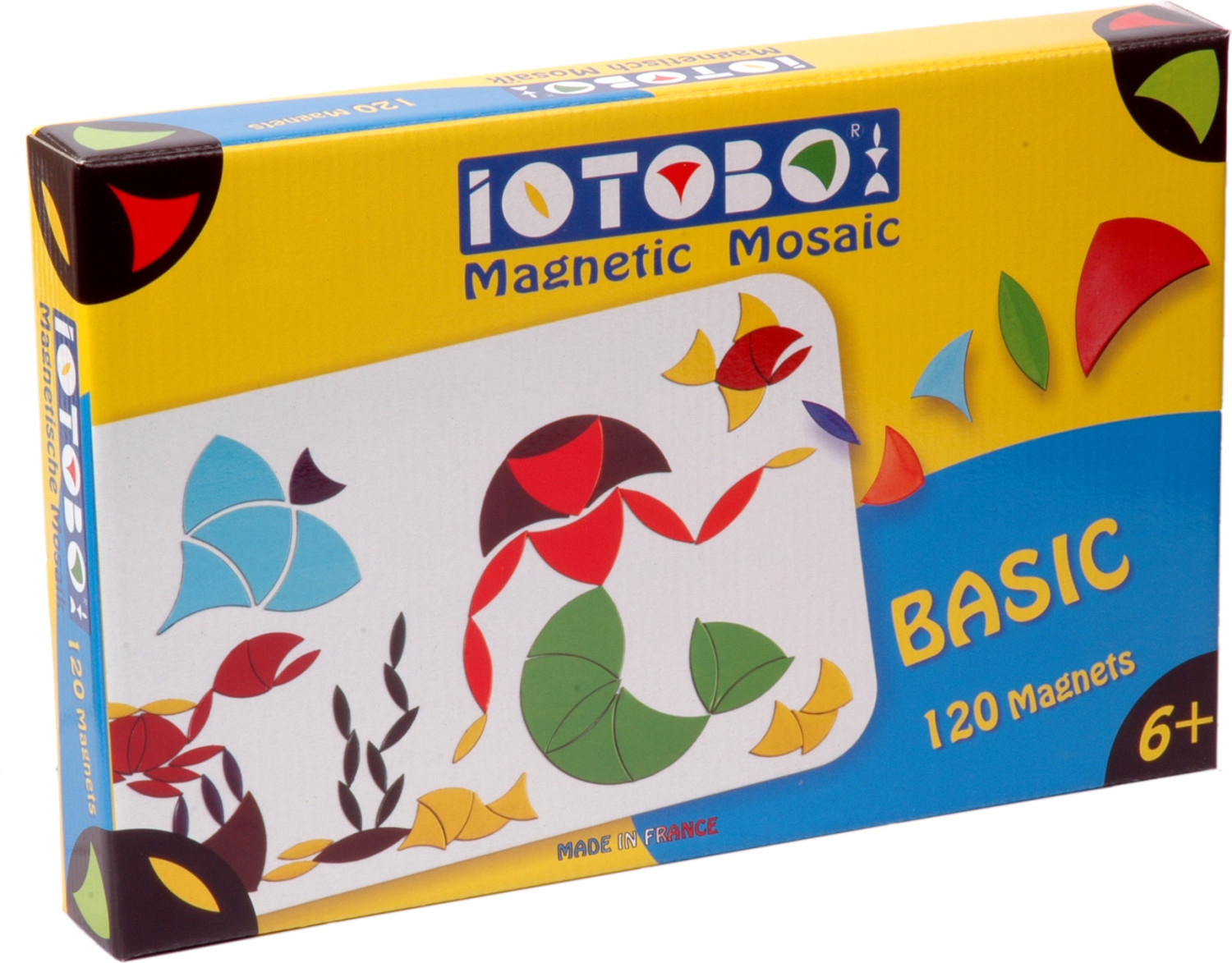 iOTOBO Les Jeunes Artistes - Découverte