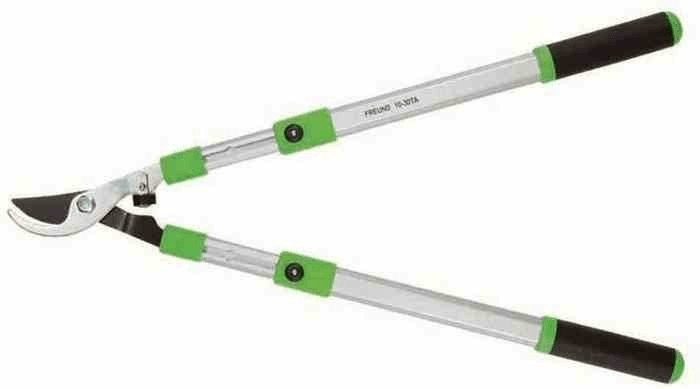 Freund-Victoria 1020656