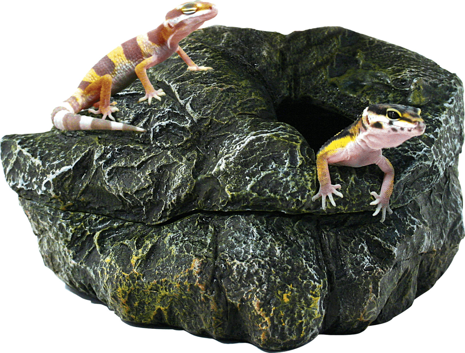 Zoo Med Repti Shelter 3 in 1 Cave M (RC-31)