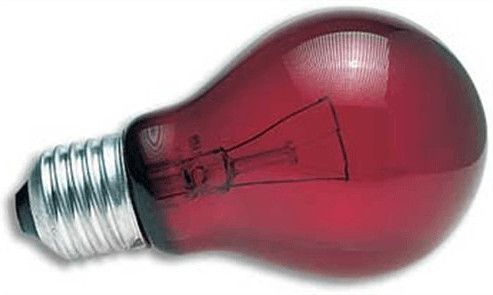 Zoo Med Nightlight Red Reptile Bulb 100W