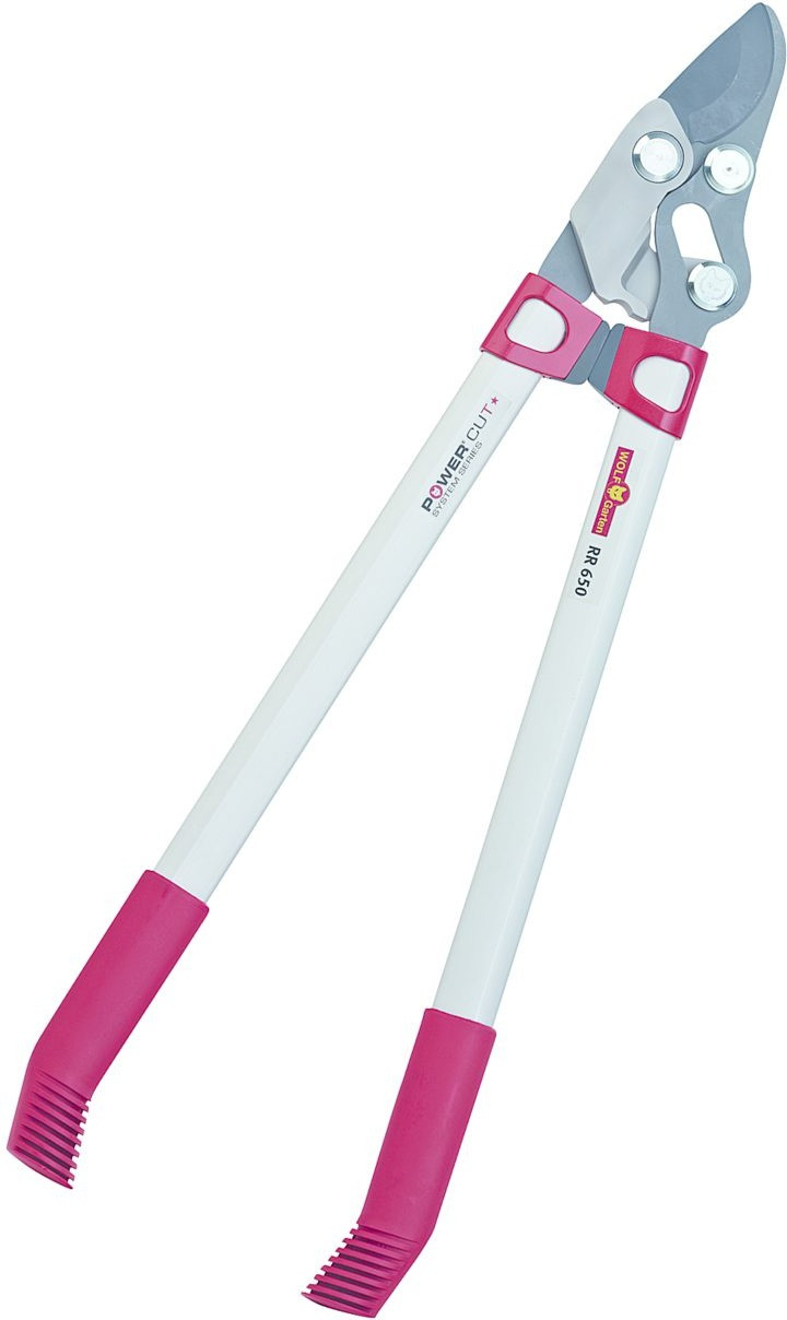 Outils Wolf Basic Plus Power Cut RR 650
