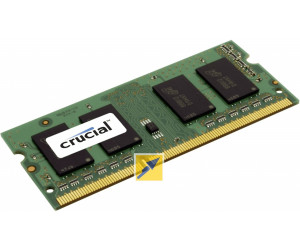 En general simbólico Abrumador Crucial 4GB SO-DIMM DDR3 PC3-12800 CL11 (CT51264BF160B) desde 16,77 € |  Compara precios en idealo