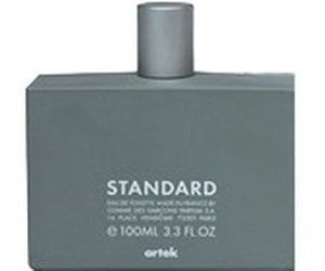 Comme des garcons standard store