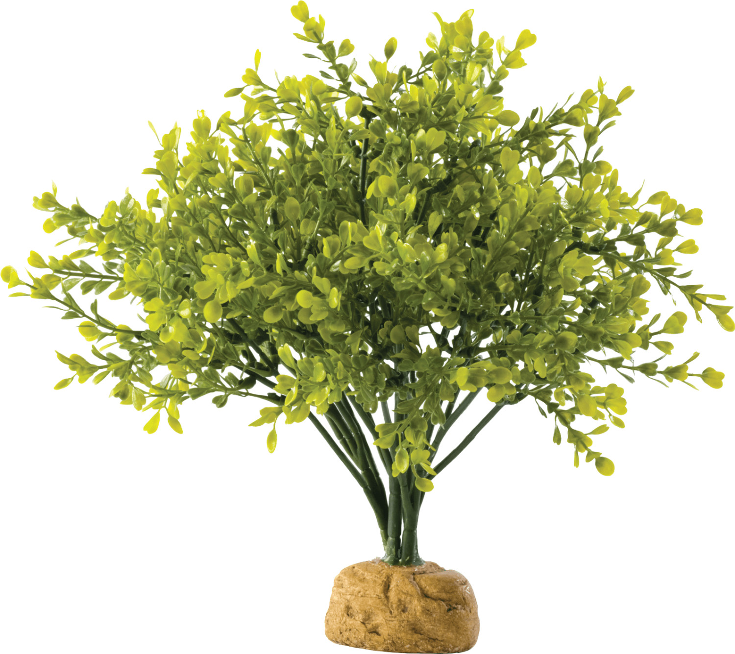 Exo Terra Buis en buisson (PT2994)