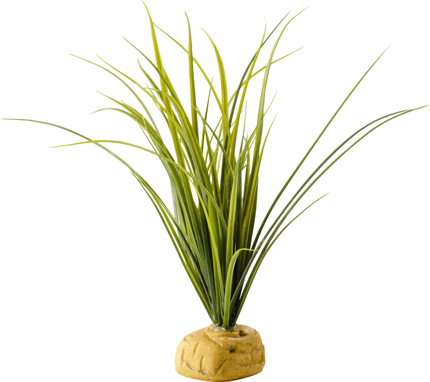 Exo Terra Turtle Grass