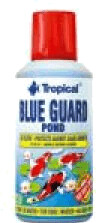 Tropical Blue Guard Pond