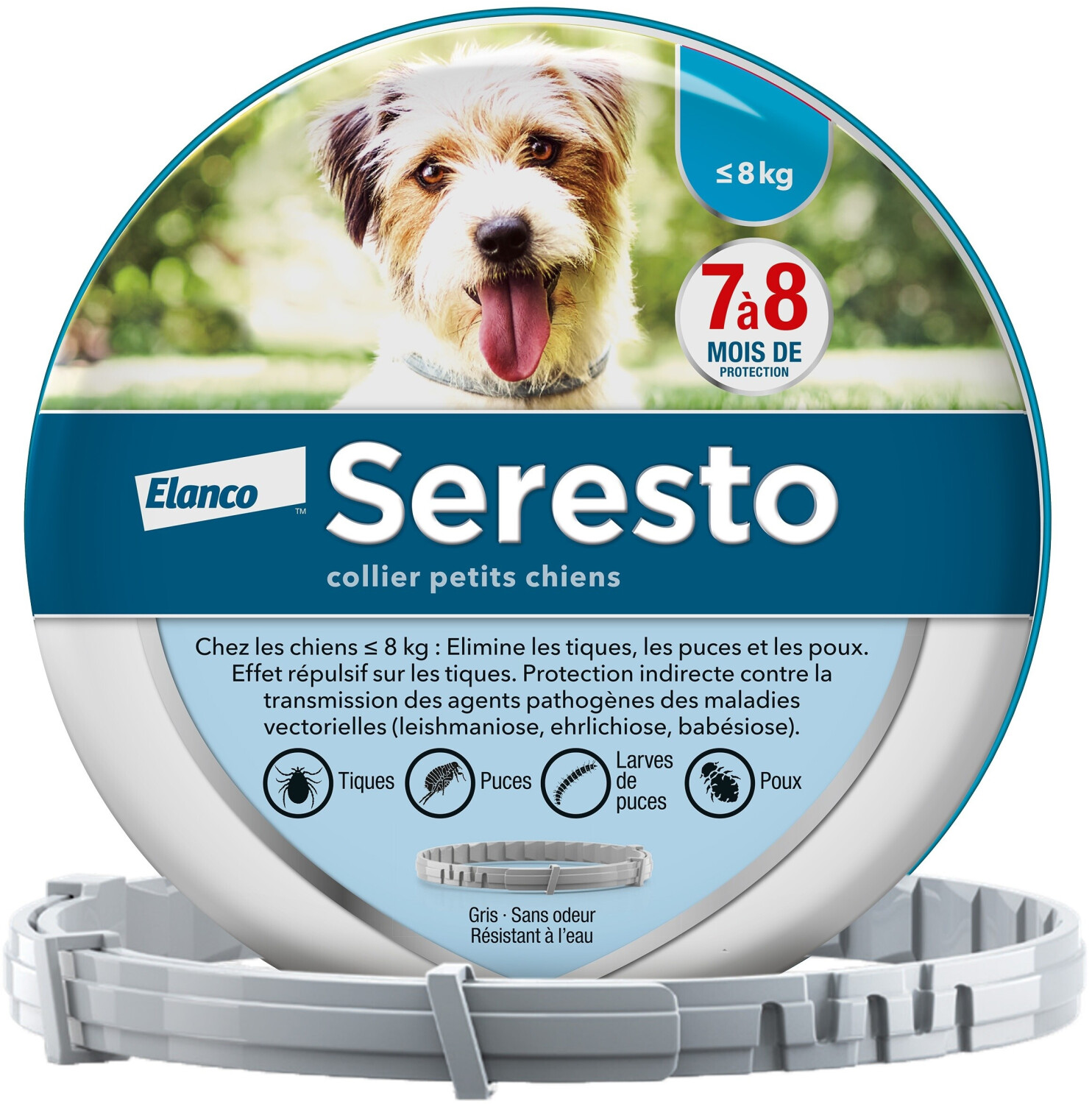 Bayer Santé Familiale Collier Seresto petits chiens jusqu'à 8 kg