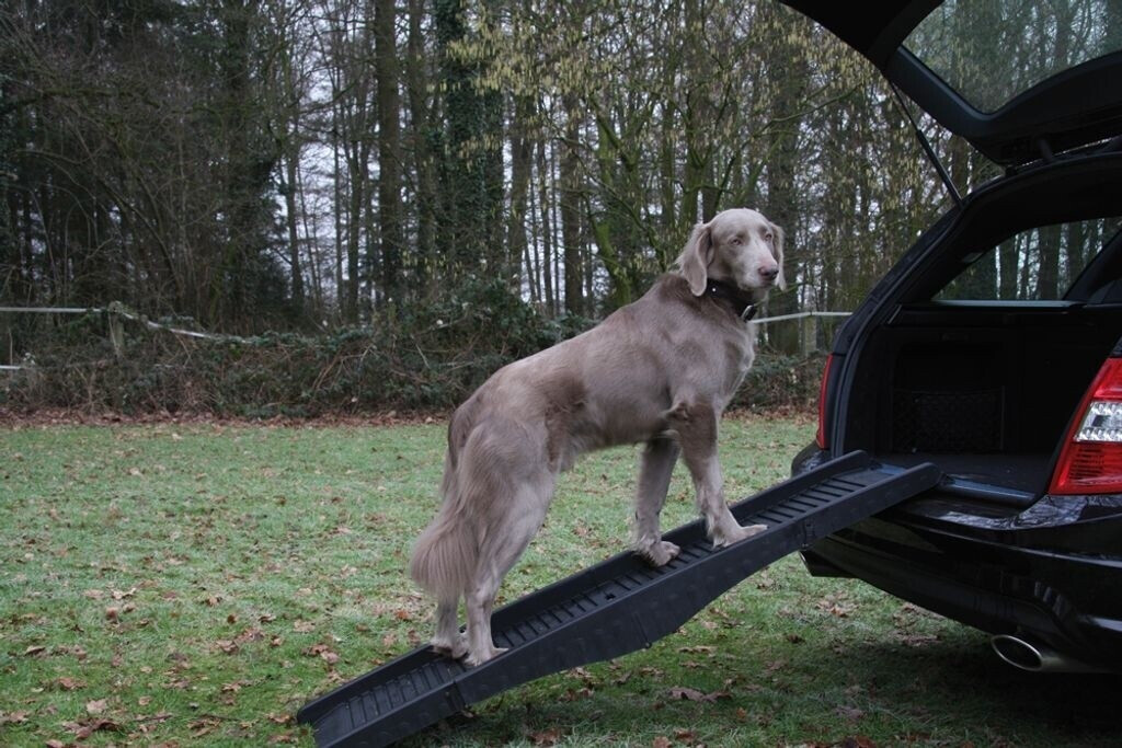 Nobby Rampe pour chien 40 x 152 cm (76325)